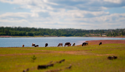 Similar image 920217