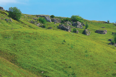 Similar image 920218