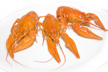 Similar image 920219