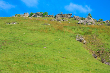 Similar image 920220