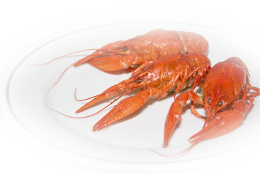 Similar image 920222