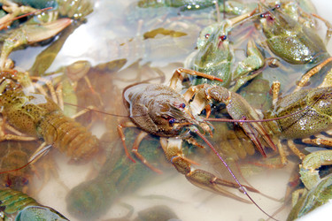 Similar image 920225