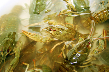 Similar image 920227