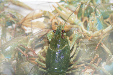 Similar image 920229