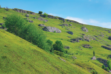 Similar image 920234