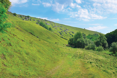 Similar image 920239