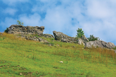 Similar image 920249