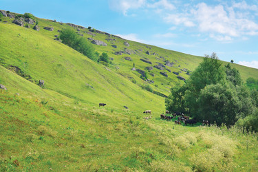 Similar image 920255