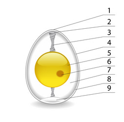 Similar image 920256