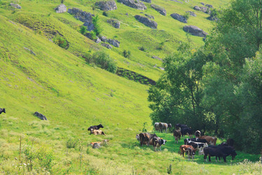 Similar image 920262