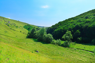 Similar image 920272