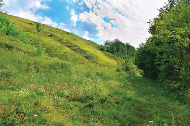 Similar image 920278