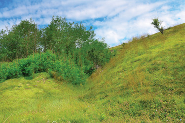 Similar image 920281