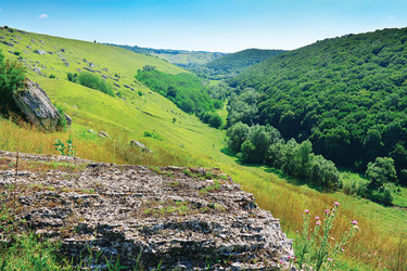 Similar image 920285