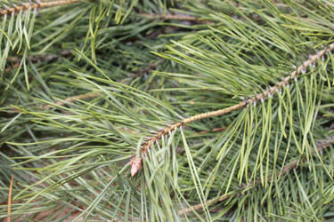 Similar image 920291