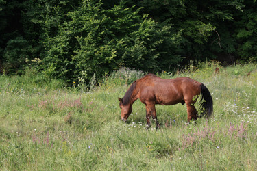 Similar image 920308