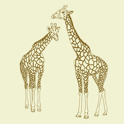 Similar image 920329