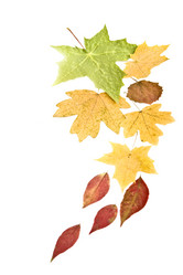 Similar image 920331