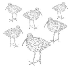 Similar image 920420