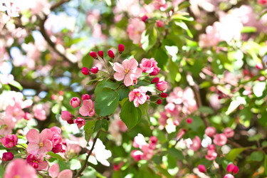 Similar image 920496