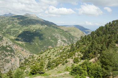 Similar image 920547