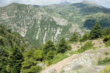 Similar image 920551