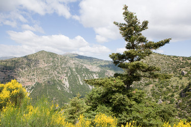 Similar image 920554