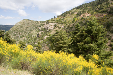 Similar image 920559