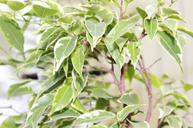 Similar image 920664