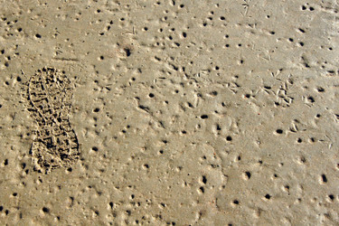 Similar image 920670