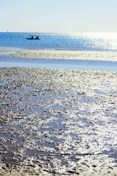 Similar image 920671