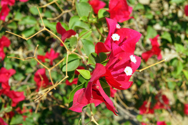 Similar image 920679