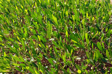 Similar image 920683