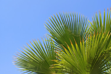 Similar image 920692