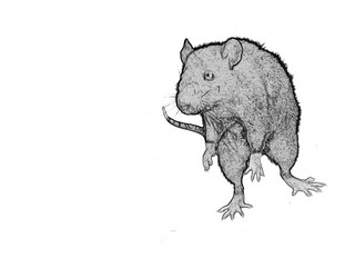 Similar image 920697