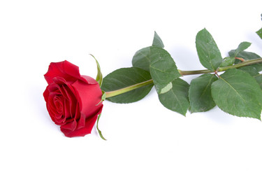 Similar image 920748