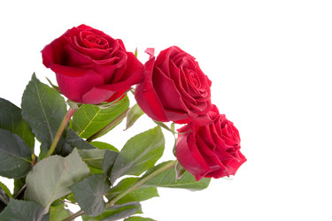 Similar image 920760