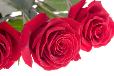 Similar image 920766