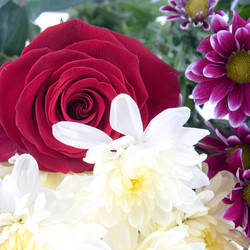 Similar image 920815