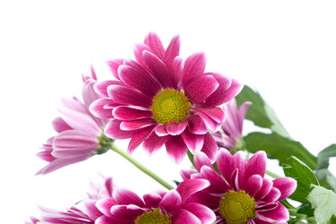 Similar image 920851