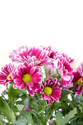 Similar image 920878