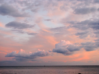 Similar image 920897