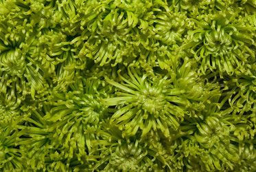 Similar image 920907