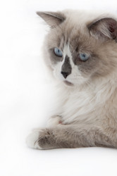 Similar image 920964