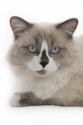 Similar image 920965