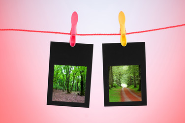 Similar image 920969