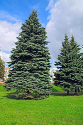 Similar image 921046