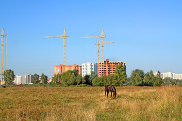 Similar image 921064