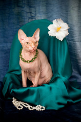 Similar image 921066