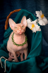 Similar image 921069